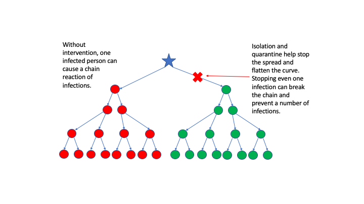 Diagram of COVID-19 chain reaction model